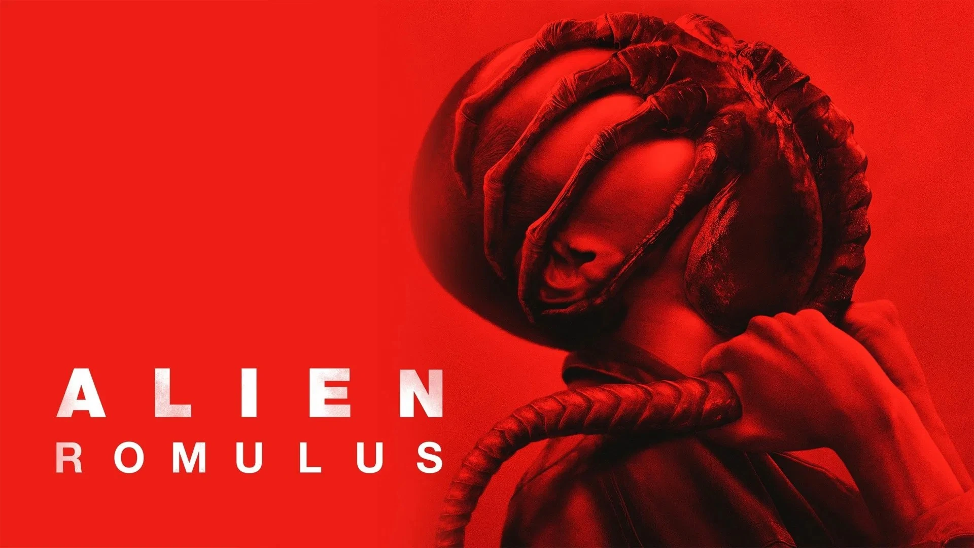 Movies